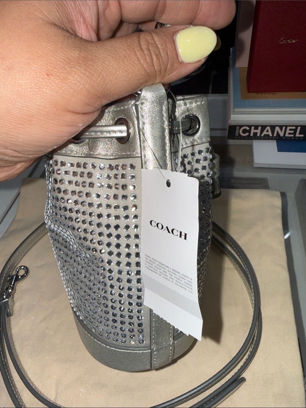 New Coach Metallic Silver Crystal-Embellished Bucket mini Bag - Picture 7 of 10